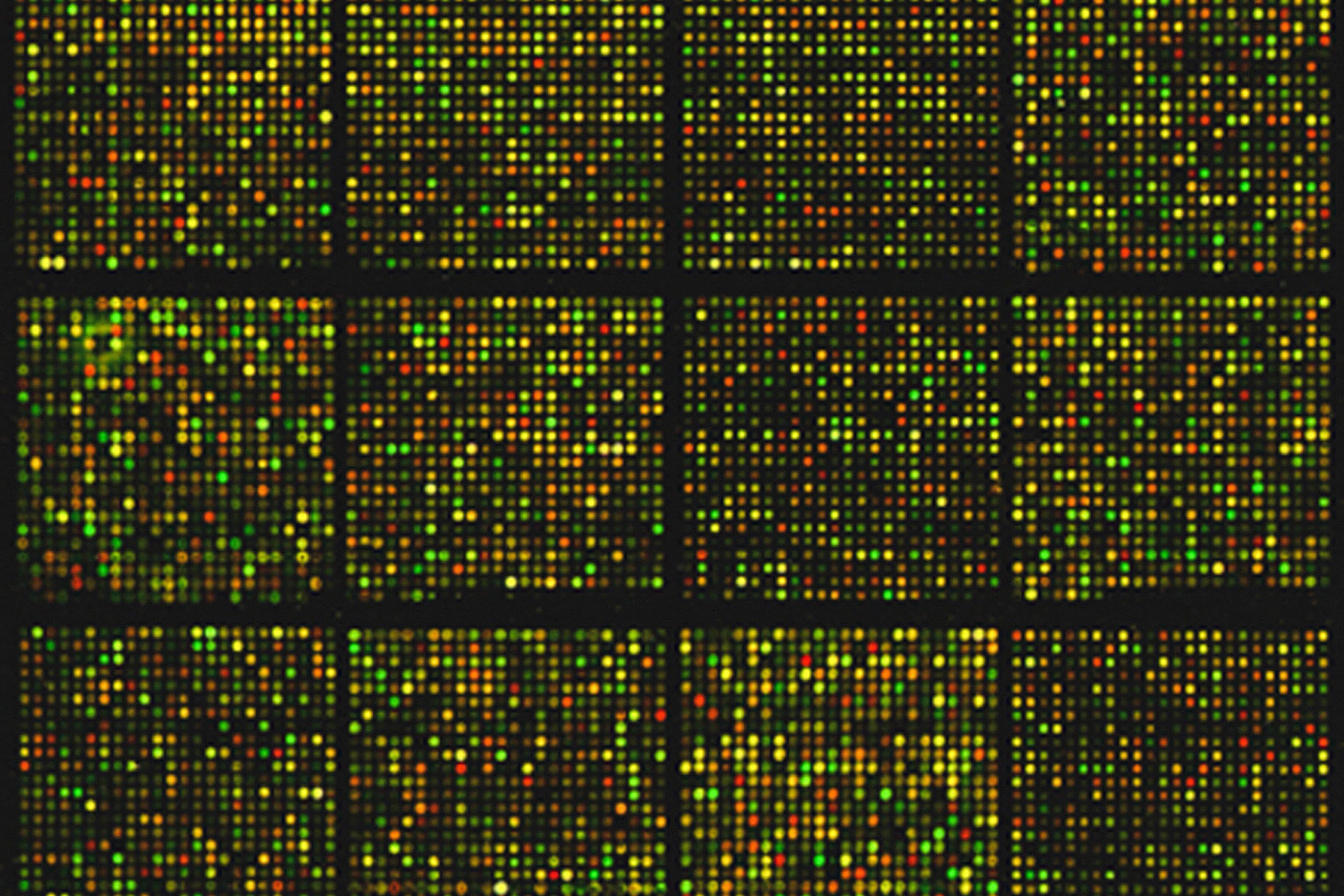 Deep Sequencing Core Facility